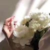 zrtiz_1