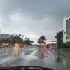 ismaelrodriguez7135