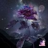 iansaid22140