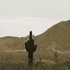 nooli_rock