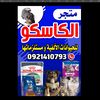 kaza_98