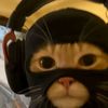 that_apm_player
