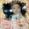 user451780819