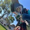 thefuzzlifez