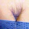 thhicctok