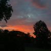 fromthesunshinestate