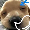 iolie.itzz_