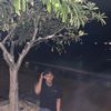 arizfdlll
