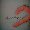 hamzaamughal7009
