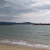 ruru1235357
