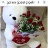 elif1507nl