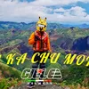 pikachumotoride