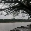 lutfyma