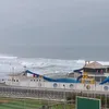 mundonaturalfeliz