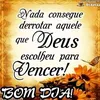 josearaujoarauj0