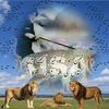 atifmughal172