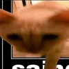 mnbibbib