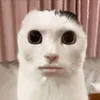 neckhurts278