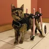 petmobility
