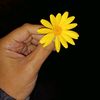 nigaran_83