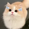 artibuttercup