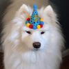 mabel.samoyed