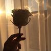 tahani__13