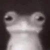 zenosaudam