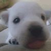 eru34521_official