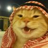 afanalhadi