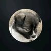 munthe_2992