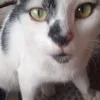 cecilia._008