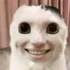 xatbka1