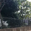 mo_a0071