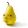 zzovv_01