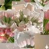 sucilll030511