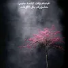 aa_aaa354