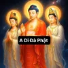 adidaphat17_11