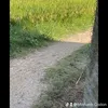 minhanhcodon0