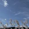 mtgbtgaetm