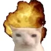 dermimi_00