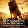 swiftke146224024