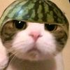 user16958822