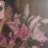 aya_al.ahmed