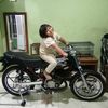 kayu_blayer