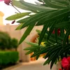 user906161505