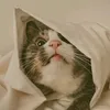 hjjjkwwwwwnnnnnkkkl