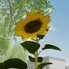 ilikemyyellowtulips