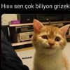 syeydn