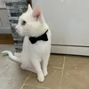 leopoldthehousecat